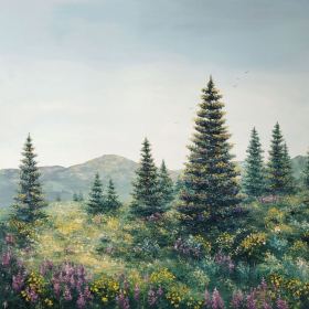 nature-sauvage
