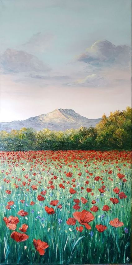 Coquelicots avec vue Sainte Victoire