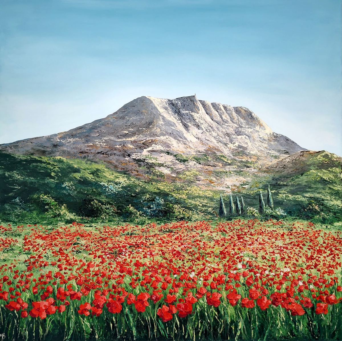 Les-coquelicots-sauvages