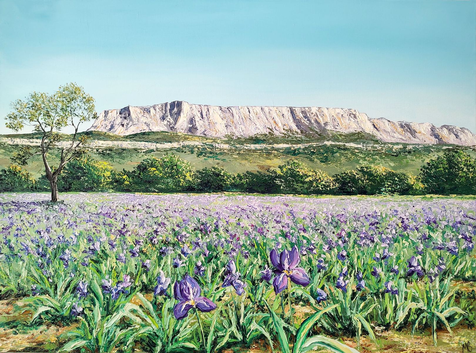 Les-iris