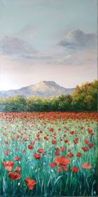 Coquelicots avec vue Sainte Victoire