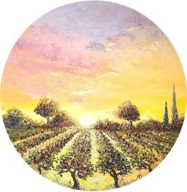 Coucher-de-soleil-dans-les-vignes