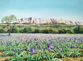 Les-iris