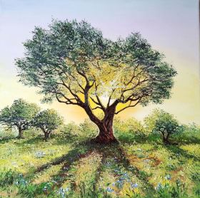 Quand-brille-lolivier50x50