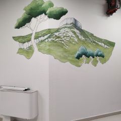 fresque murale personnalisée