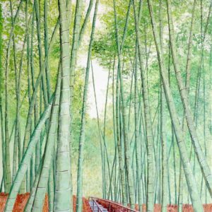 Forêt de bambous