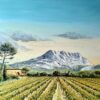 Vignes du sud